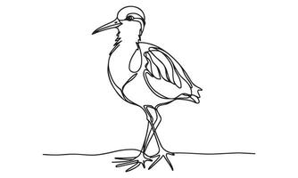 Continuous line drawing of a bird standing on the ground vector