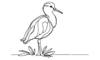 A drawing of a heron standing on the ground vector