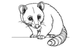 A coloring page of a raccoon vector