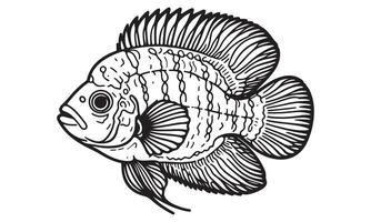 A black and white drawing of a fish vector