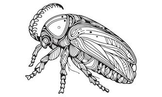 A beetle coloring page with a patterned design vector