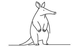 A drawing of a kangaroo standing on its hind legs vector