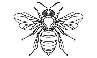 A bee coloring page with a black and white drawing vector