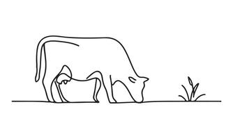 Continuous line drawing of a cow grazing on grass vector