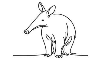A drawing of an armadillo vector