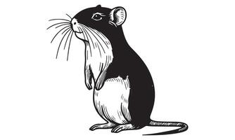 A black and white drawing of a mouse vector
