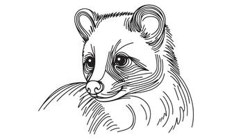 A drawing of a raccoon head vector