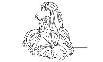 Afghan hound coloring page vector