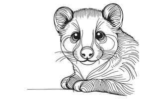 A drawing of a raccoon with big eyes vector