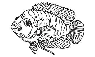 A fish coloring page with a black and white outline vector