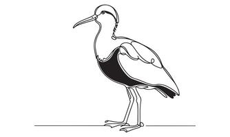 A drawing of a bird standing on a white background vector