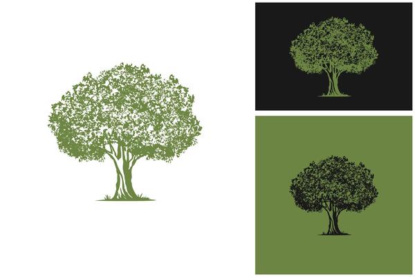 Oak tree logo, Green tree.