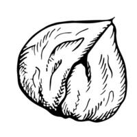 Roasted peeled chestnut. graphics depicting the fruit of a peeled roasted chestnut. A black and white hand-drawn illustration. On a white background. Great for labels, cover, flyer and package vector