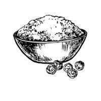 Ground pepper. graphics with the image of fragrant spices. Ground pepper in a cup. A black and white hand-drawn illustration. On a white background. Great for cooking recipes, menus or labels. vector