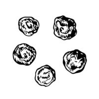 Black pepper. graphics with the image of fragrant spices. A black and white hand-drawn illustration. On a white background. Great for cooking recipes, menus, posters or labels. vector