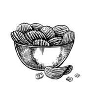 Potato chips in a bowl. graphics with the image of fluted chips. Black and white hand-drawn illustration. On a white background. Great for labels, banners, posters. vector