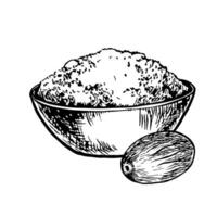 Chopped nutmeg in a bowl. graphics with the image of fragrant spices. A black and white hand-drawn illustration. On a white background. Great for cooking recipes, menus, posters or labels. vector