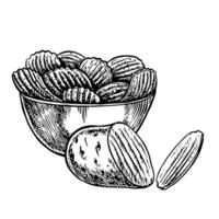 Potato chips in a bowl. graphics featuring fluted chips and sliced potatoes. Black and white hand-drawn illustration. On a white background. Great for labels, banners, posters. vector