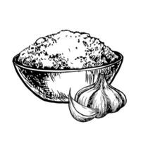 Dried ground garlic in a bowl. graphics with the image of fragrant spices. A black and white hand-drawn illustration. On a white background. Great for cooking recipes, menus, posters or labels. vector