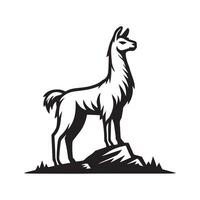 Llama Outline Clipart Design - Lama Glama illustration in black and white vector