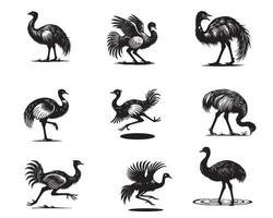 Collection of Greater rhea illustration - Rhea americana Bird Silhouette Design vector