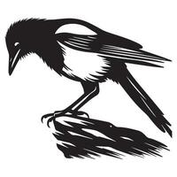 Black and white illustration of a magpie on a branch vector