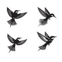 Collection of European bee-eater illustration - European bee-eater Bird Silhouette Design vector