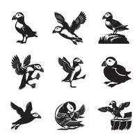 Collection of Atlantic puffin illustration - Atlantic puffin Bird Silhouette Design vector