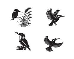 Collection of Common kingfisher illustration - Common kingfisher Bird Silhouette Design vector