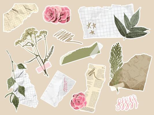Paper cut elements. Botanical collage with scrapbook torn paper pieces, scribbles, branches with leaves and flowers. Coquette aesthetic journal floral design set