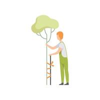 Gardener caring for a tree in the garden, people working in the garden Illustration vector