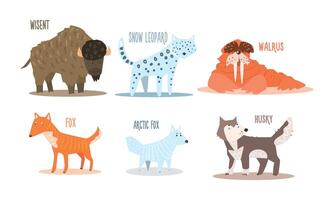 Collection of Arctic animals with names, wisent, snow leopard, walrus, fox, arctic fox, husky Illustration vector