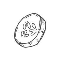Hand drawn Cucumber Slices Sketch Illustration vector