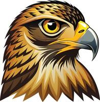 Majestic Hawk Head Available on EPS File vector