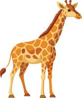 Majestic Giraffe Available on EPS File vector
