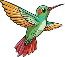 Elegant Hummingbird Available on EPS File vector