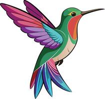 Graceful Hummingbird Available on EPS File vector
