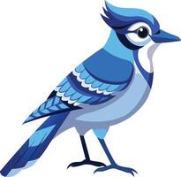 Vibrant Blue Jay Available on EPS File vector