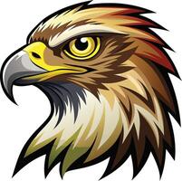 Focused Hawk Head Available on EPS File vector