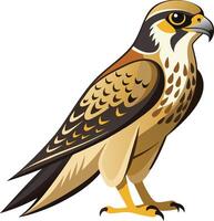Majestic Falcon Available on EPS File vector