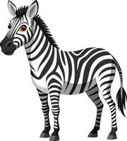 Graceful Zebra - Available on EPS File vector