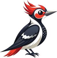 Beautiful Woodpecker - Available on EPS File vector