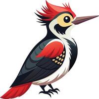 Elegant Woodpecker - Available on EPS File vector