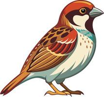 Charming Sparrow - Available on EPS File vector
