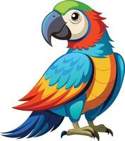 Colorful Parrot Full Body Available on EPS File vector