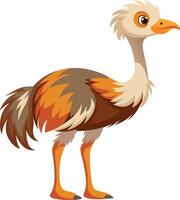 Curious Ostrich Full Body Available on EPS File vector