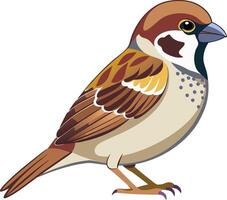 Graceful Sparrow - Available on EPS File vector
