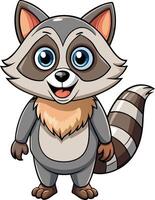 Curious Raccoon Available on EPS File vector