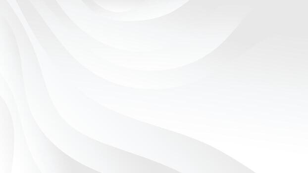 abstract white background with curve lines vector