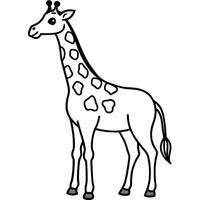 Giraffe coloring pages vector